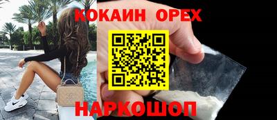гашик Можга