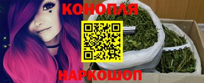 гашик Можга