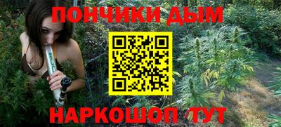 гашик Можга