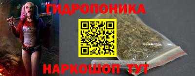 гашик Можга
