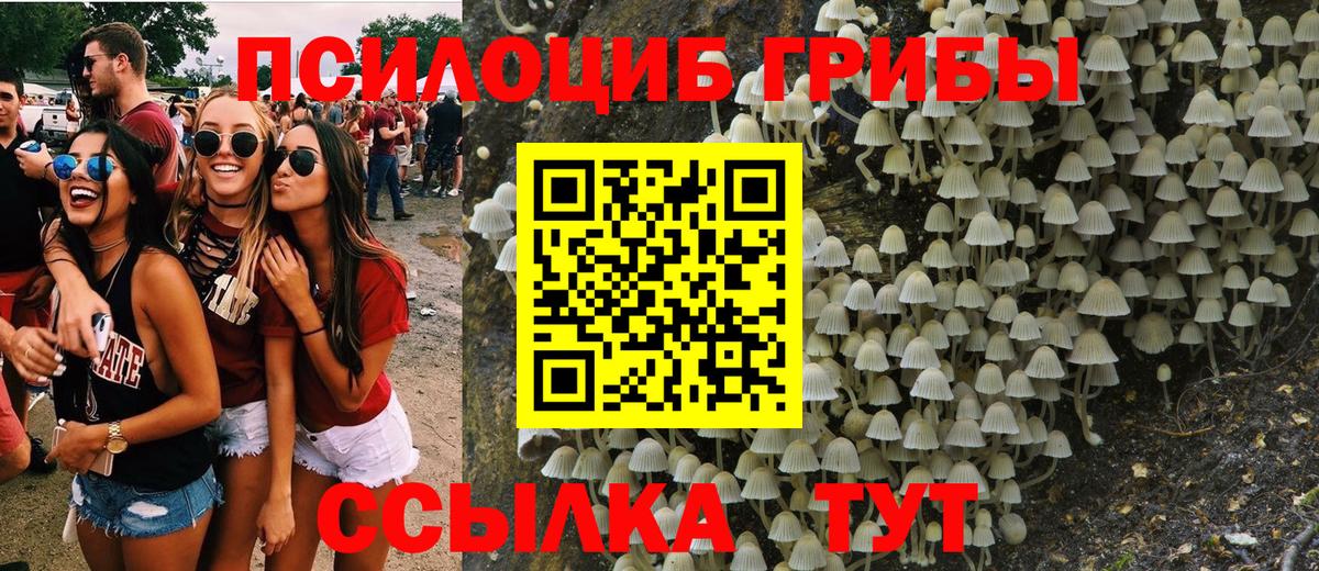 Шелехов  Псилоцибиновые грибы Cubensis  Вход с VPN 
